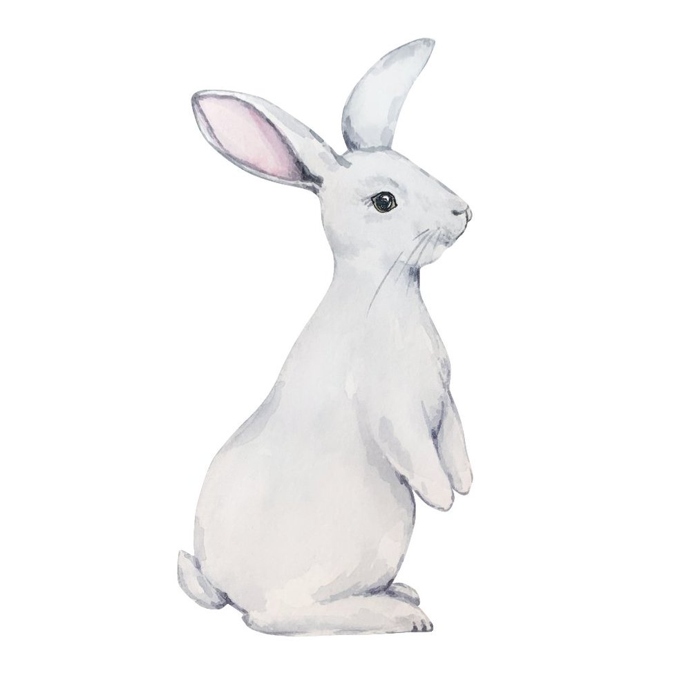 Meet your Posher, Shelli!